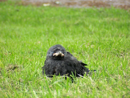 7478BA27025D489B9666409FBAC123D5-500