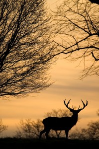 394175789_caf5ff89c9