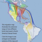 migrationmap-click migrationmap-click