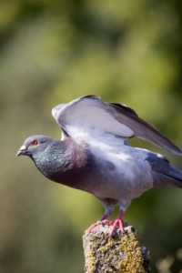 Nameless and uncelebrated.