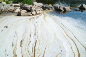 iStock_000013102362Small