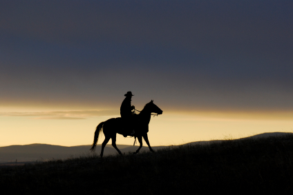 iStock_000004372273XSmall