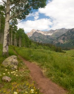 iStock_000006721262XSmall