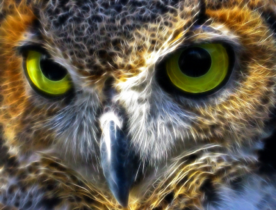 "...this wise guy was involved..."