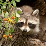 "Whoa. What's this..."