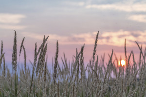 iStock_000068371487_Double